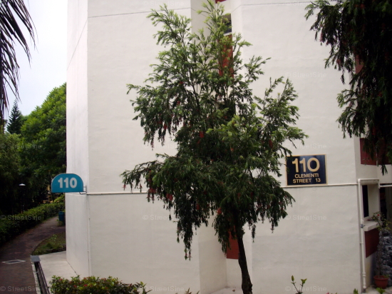 Blk 110 Clementi Street 13 (Clementi), HDB Executive #202012